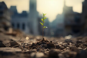 Fresh plant sprout emerging from the asphalt ruined city on the background