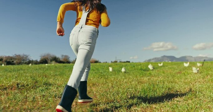 Running, back and a child on a farm for chicken growth, fun and playing in a field. Countryside, playful and a girl kid in nature with animals for agriculture, sustainability and freedom in ecology