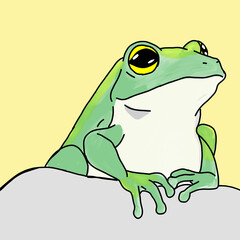 a watercolor drawing of a frog with a large leaf on it 