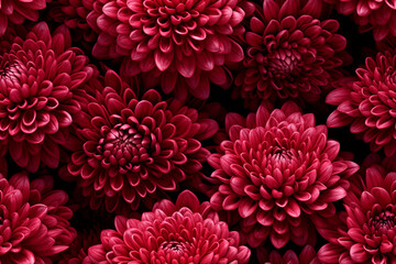 Elegant seamless pattern with burgundy, maroon, and red chrysanthemums. Ideal for fabric prints, wallpapers, and creative backgrounds. - 680556053
