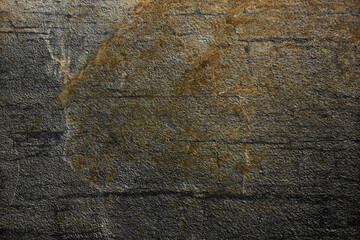 stone texture mossed