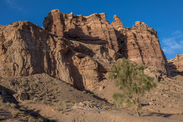 Fototapeta premium Charyn Canyon is a canyon on the Sharyn River in Kazakhstan east of Almaty. Landscape on a clear sunny day in summer