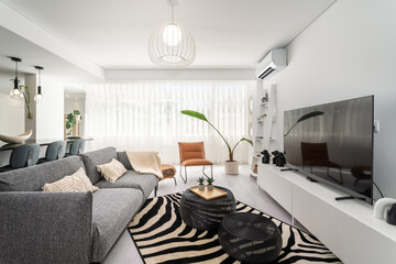 Modern apartment living room interior with gray sofa and TV area and plant crocheted pillows on the...