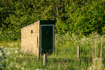 Toilet on the meadow