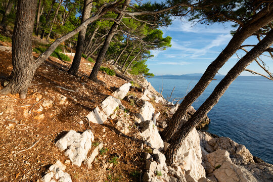 Beautiful landscape in Park Osejava near Makarska, Croatia