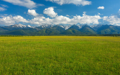 A picturesque rural landscape featuring vast yellow rapeseed fields, rolling hills, and majestic mountains in the background, under a sunny sky.