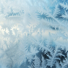 Frost Patterns on a Window