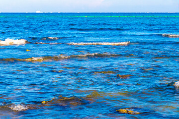 Tropical mexican beach clear turquoise water Playa del Carmen Mexico.