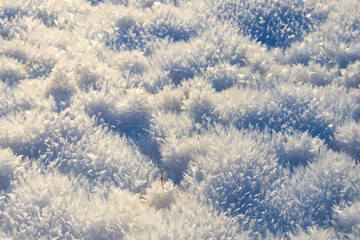 Texture of the white snow. Winter background