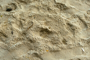 Close up sand texture on beach in summer. Beach sand background