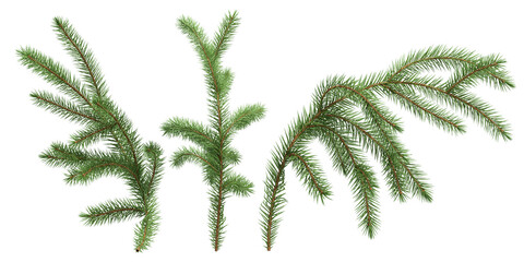 christmas tree isolated on white