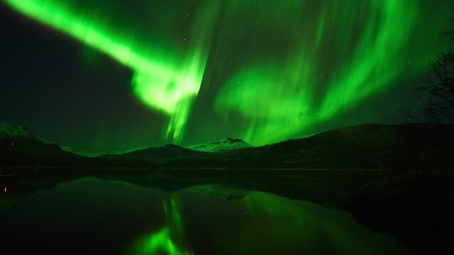 Beautiful green reflections in a still lake in October.