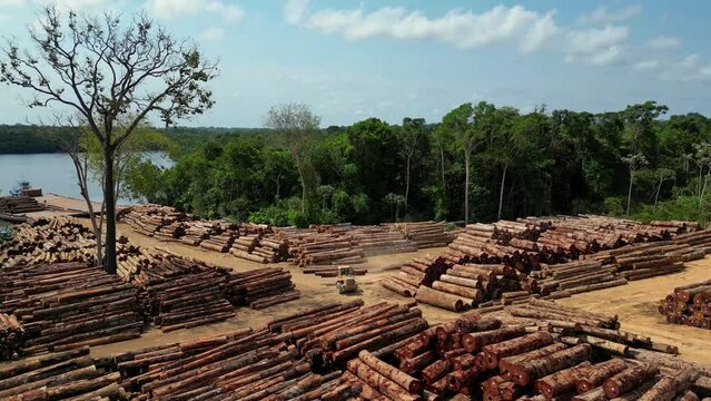 Aerial drone footage: Panoramic view of a timber storage yard in the heart of the brazilian Amazon rainforest