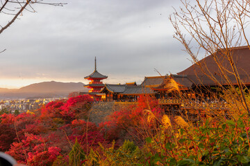 秋の清水寺,夕映えの三重塔(京都市東山区清水)