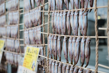 本ししゃもの生干し　本物のししゃも　むかわ
