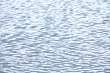 The background of the sea surface has many small waves.