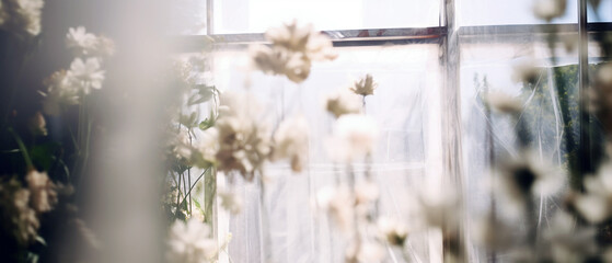 Blurry white flowers inside in the sunlight coming from a big window. Studio image usable as a background. - Powered by Adobe