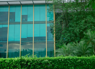 Environmentally friendly buildings in modern cities Sustainable glass office building with carbon-reducing trees Office with a green environment Corporate buildings reduce CO2