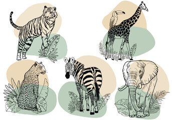 abstract illustrations of african animals