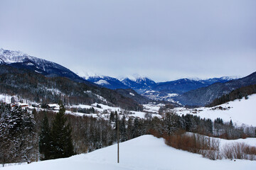 Germany Winter forest in the Oberammergau region on a sunny winter day