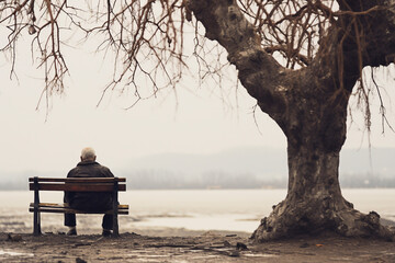 The elder is sitting alone on a bench. A lonely old man is sitting on a park bench.Elderly gentleman on a bench in contemplation. Lonely pensioner - obrazy, fototapety, plakaty