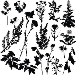 wild flowers seventeen silhouettes isolated on white
