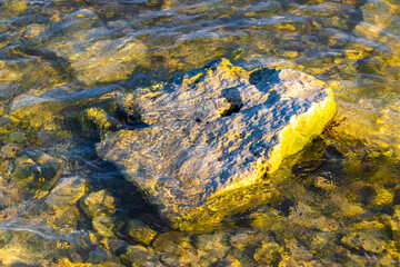 Stones rocks corals turquoise green blue water on beach Mexico.