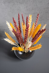 Colored wheat. Round glass vase. Symbol of Ukraine. Painted dried flowers. A bouquet of ears of corn. A symbol of life. Interior decor. Colored wheat in a glass vase as an element of decor.
