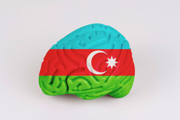 On a white background, a model of the brain with a picture of a flag - Azerbaijan