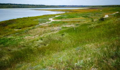 Blooming steppe in spring on the coastal slopes of the Tiligul estuary