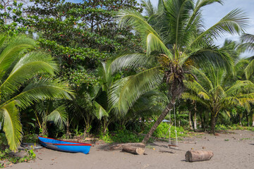 Paisaje en una playa de Tortuguero en Costa Rica
