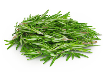 Rosemary twig and leaves isolated on white background