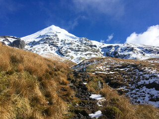 Winter view across tussock grass towards the snow-covered summit of Mt Taranaki in New Zealand's...