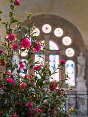 fleurs devant chapelle