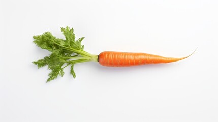 carrots on white background.