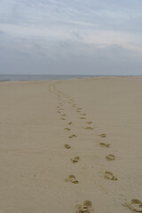 Winterzeit auf Wangerooge in der NOrdsee