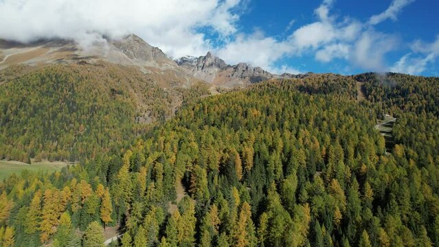 montagna alberi autunno trentino Pejo Val di sole 