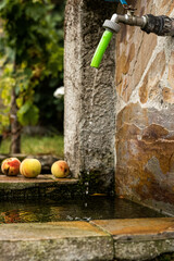 fuente de agua goteando, con un par de manzanas. 