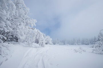 Fototapeta na wymiar Krajobraz zimowy w górach, białe zaśnieżone drzewa