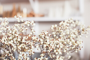 White berries bouquet closeup Christmas decoration. Holiday season festive minimal background.