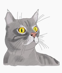 illustration of hunting cat
