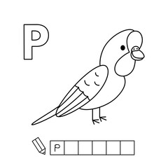 Cartoon parrot coloring pages. Learning game for small children - write a word in English language. Vector alphabet for kids