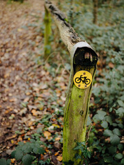 Cycle route marker on a rotting fence