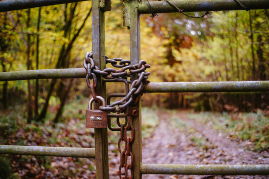 Autumn locked in behind a padlocked gate