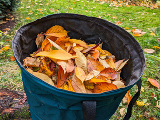 a green leaf bag filled with colorful leaves on a green lawn 