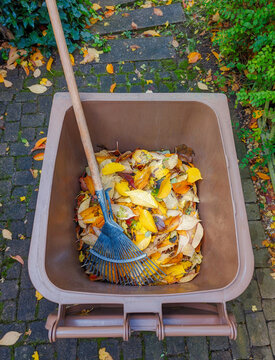 a brown organic waste garbage can filled with colorful leaves and a rake   