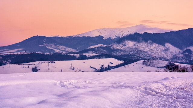 mountainous countryside at sunset. beautiful winter landscape with snow covered hills and meadows in evening light. snow capped tops of borzhava ridge in the distance
