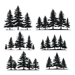 vector vintage trees and forest silhouettes set with Fir tree silhouette and outline