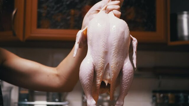 Close up, Chef Hand Holding a Raw Plucked Chicken Carcass in a Home Kitchen. Gutted Fresh broiler chicken. Duck frame with wings, and drumsticks. Pink dietary poultry meat. Cooking chicken at home.