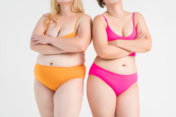 Two overweight women with fat flabby bellies, legs, hands and hips on gray background, plastic surgery and body positive concept